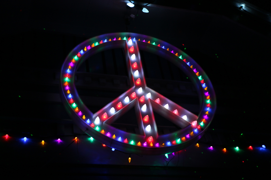 PEACE,LOVE,LIGHTS: 927 MERRIL (Detail)