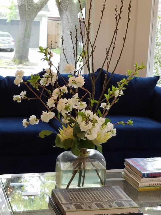 20180325_121635.jpg