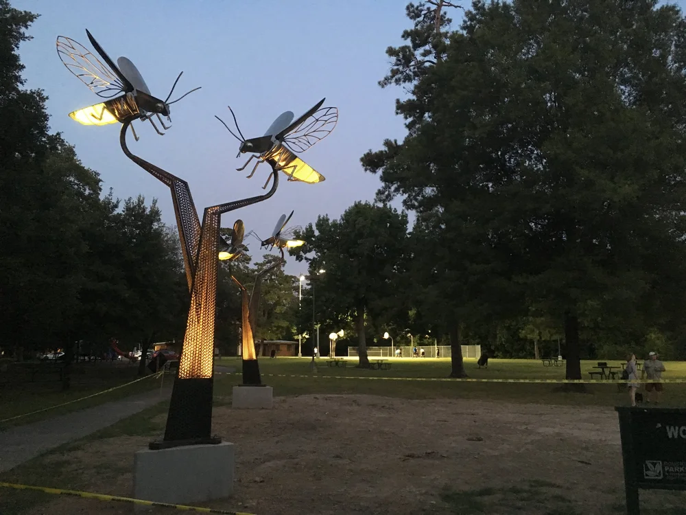FIREFLY FIELD HAS ARRIVED! — Woodland Heights