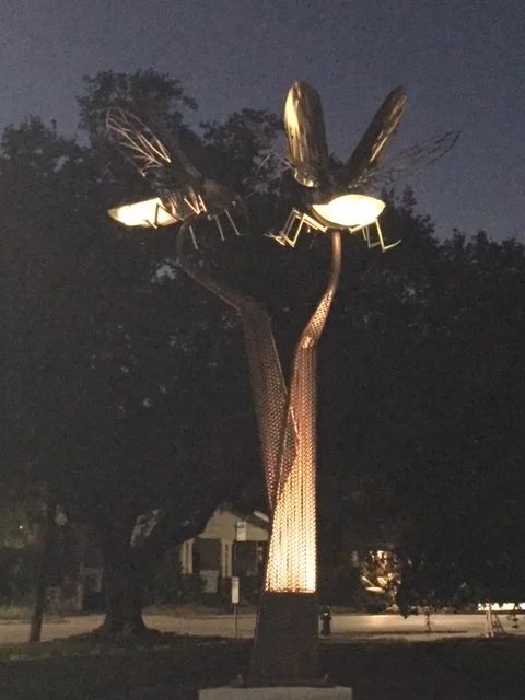 FIREFLY FIELD HAS ARRIVED! — Woodland Heights