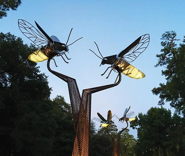 FIREFLY_IMAGE.jpg