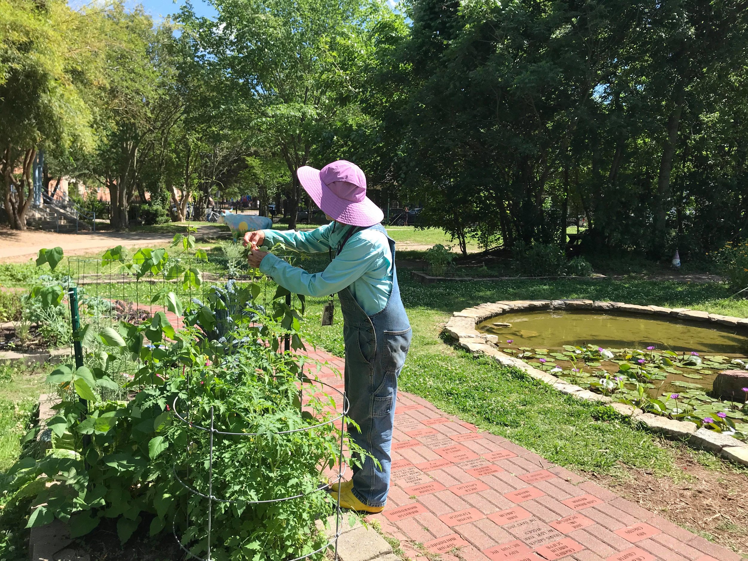 Travis Elementary Garden-08.jpg