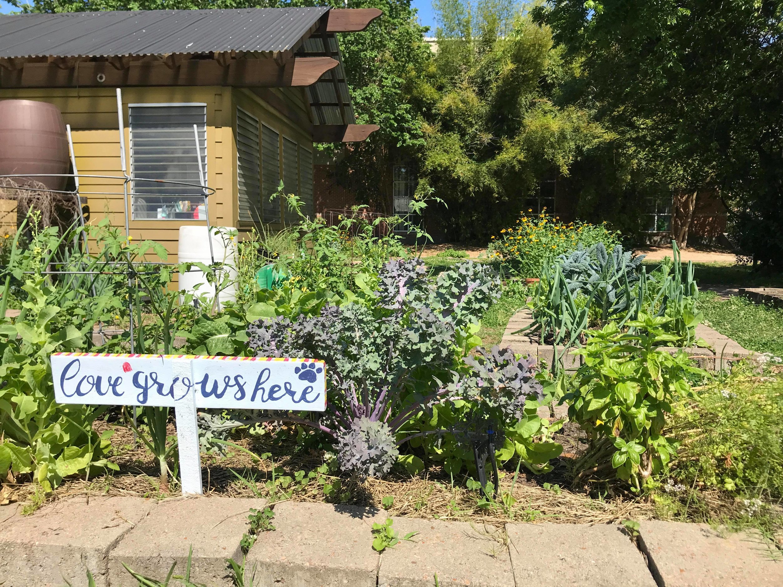 Travis Elementary Garden-09.jpg