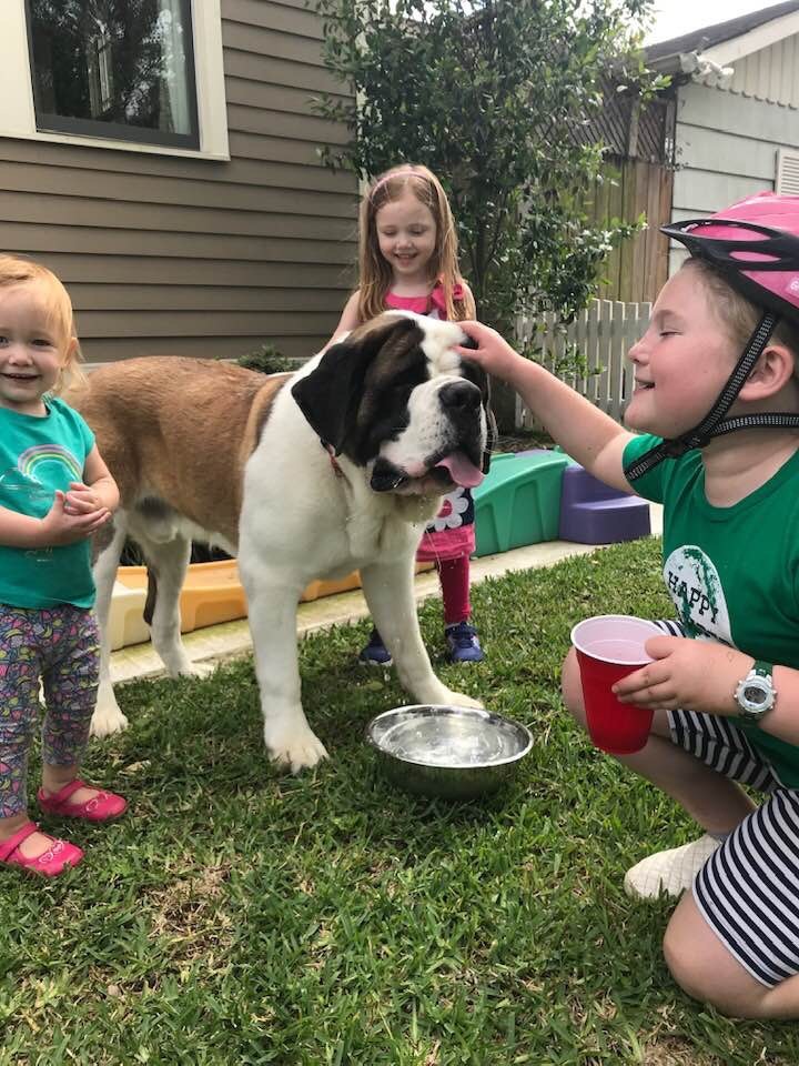 lemonade stand 3.jpg