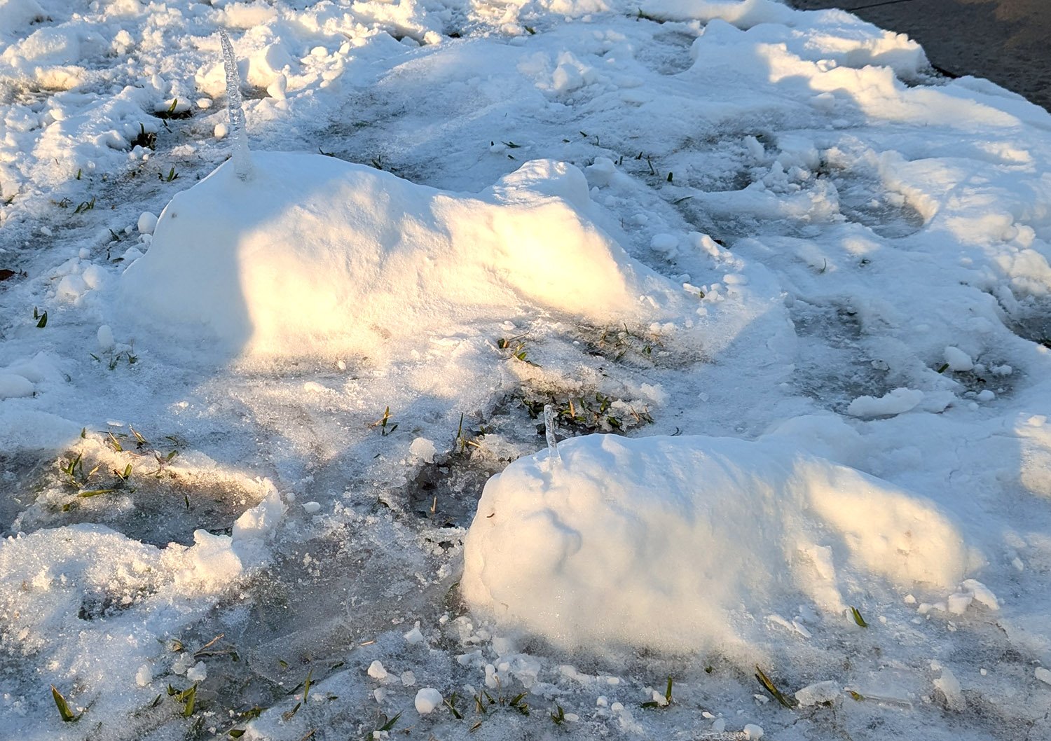 PXL_20250121_230327611.jpg