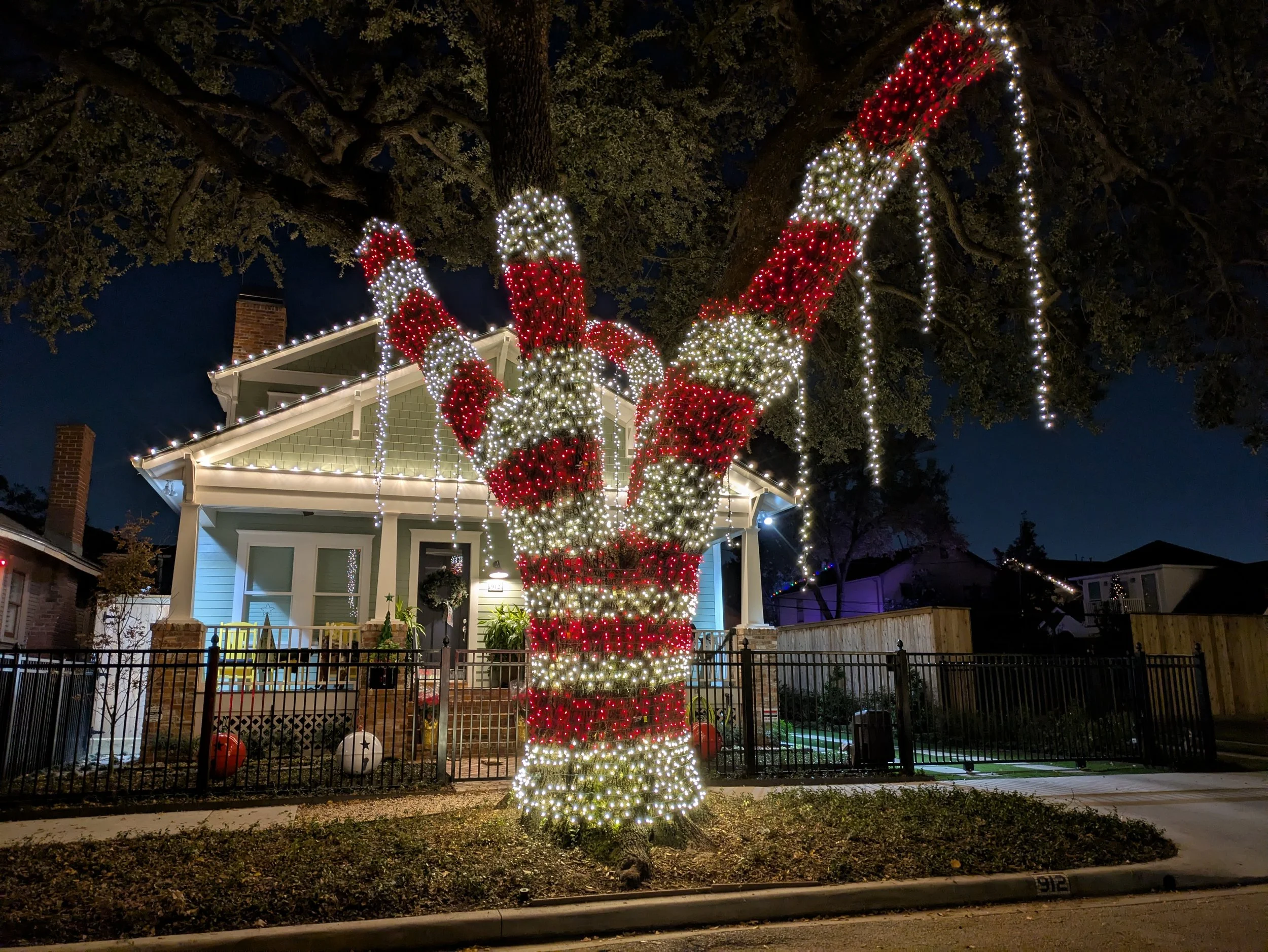 Best Tree – 912 Woodland