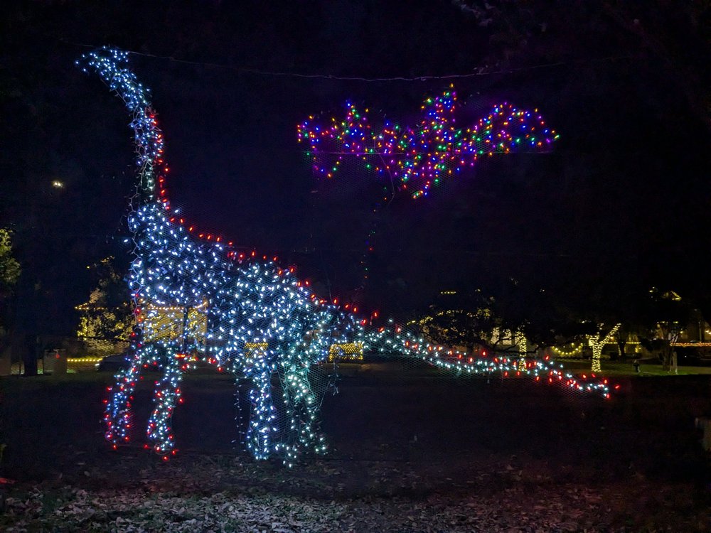 dinosaurs 2024-008.jpg