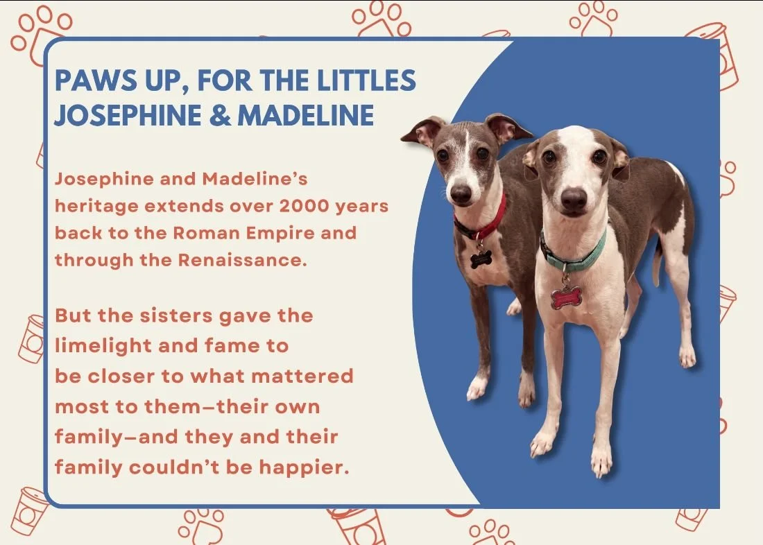  Paws Up Times Two: Meet the Littles  Plus One