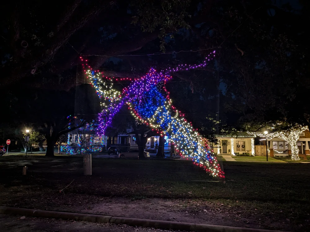 dinosaurs 2024-012.jpg