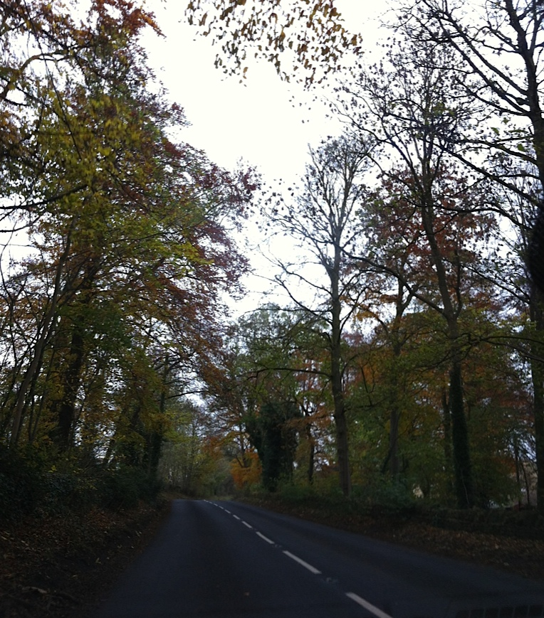 Cotswolds road.gif