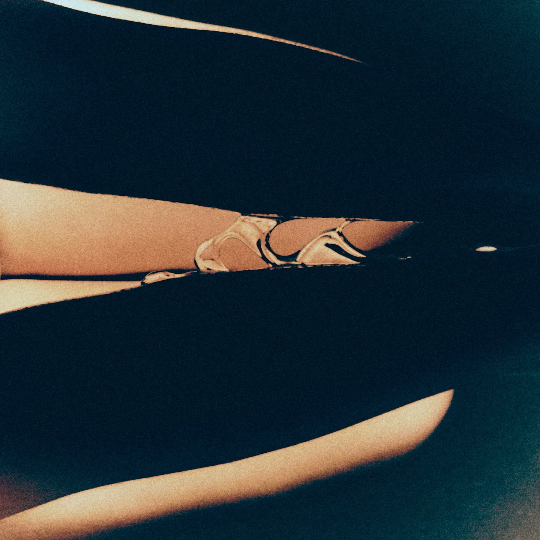 isabel-detail.webp