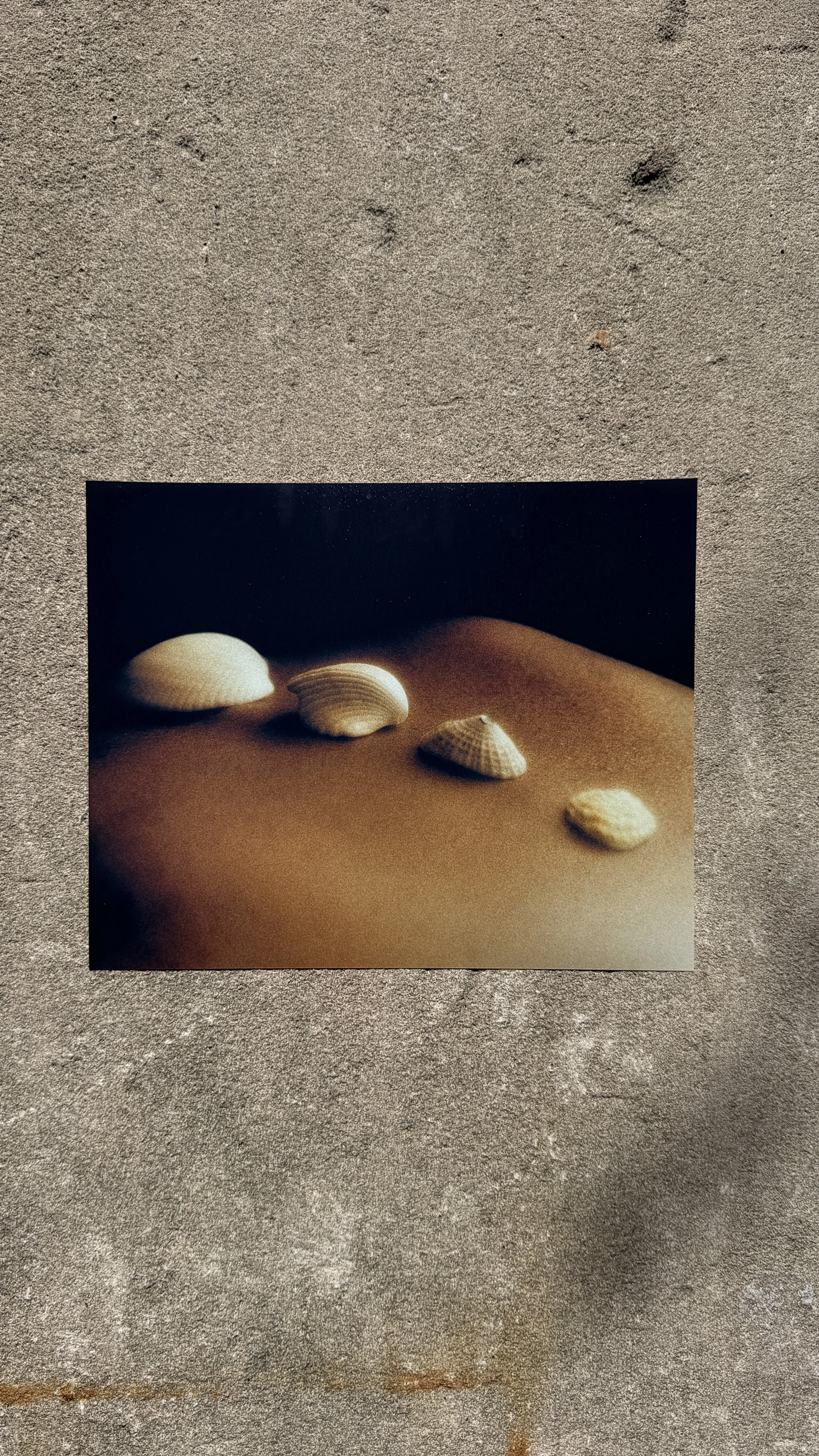 8x10