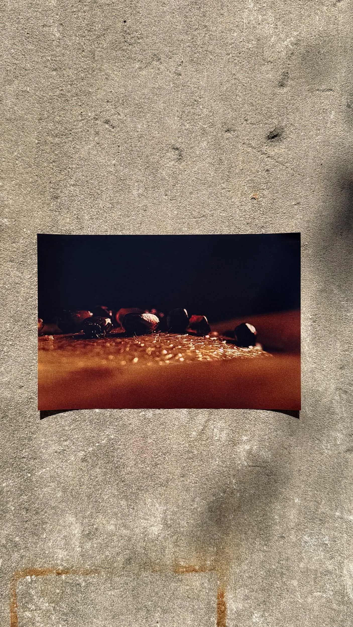 8x12