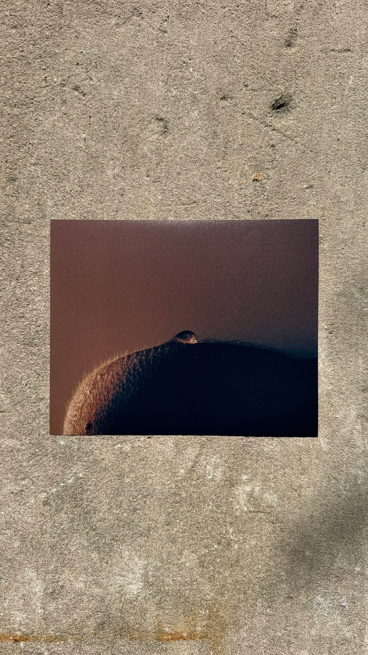 8x10