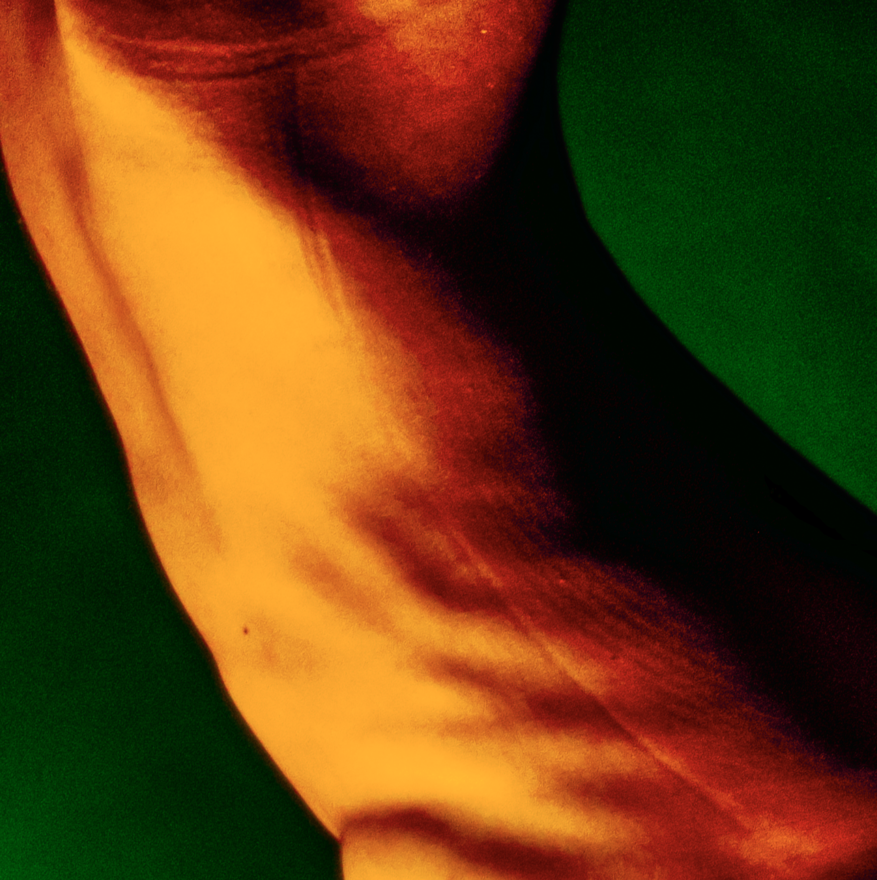 WHAT-GOD-SEES-17.png