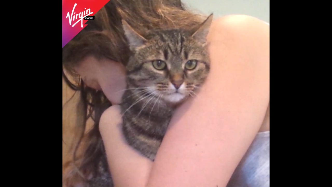 Hug Your Cat Day 2015