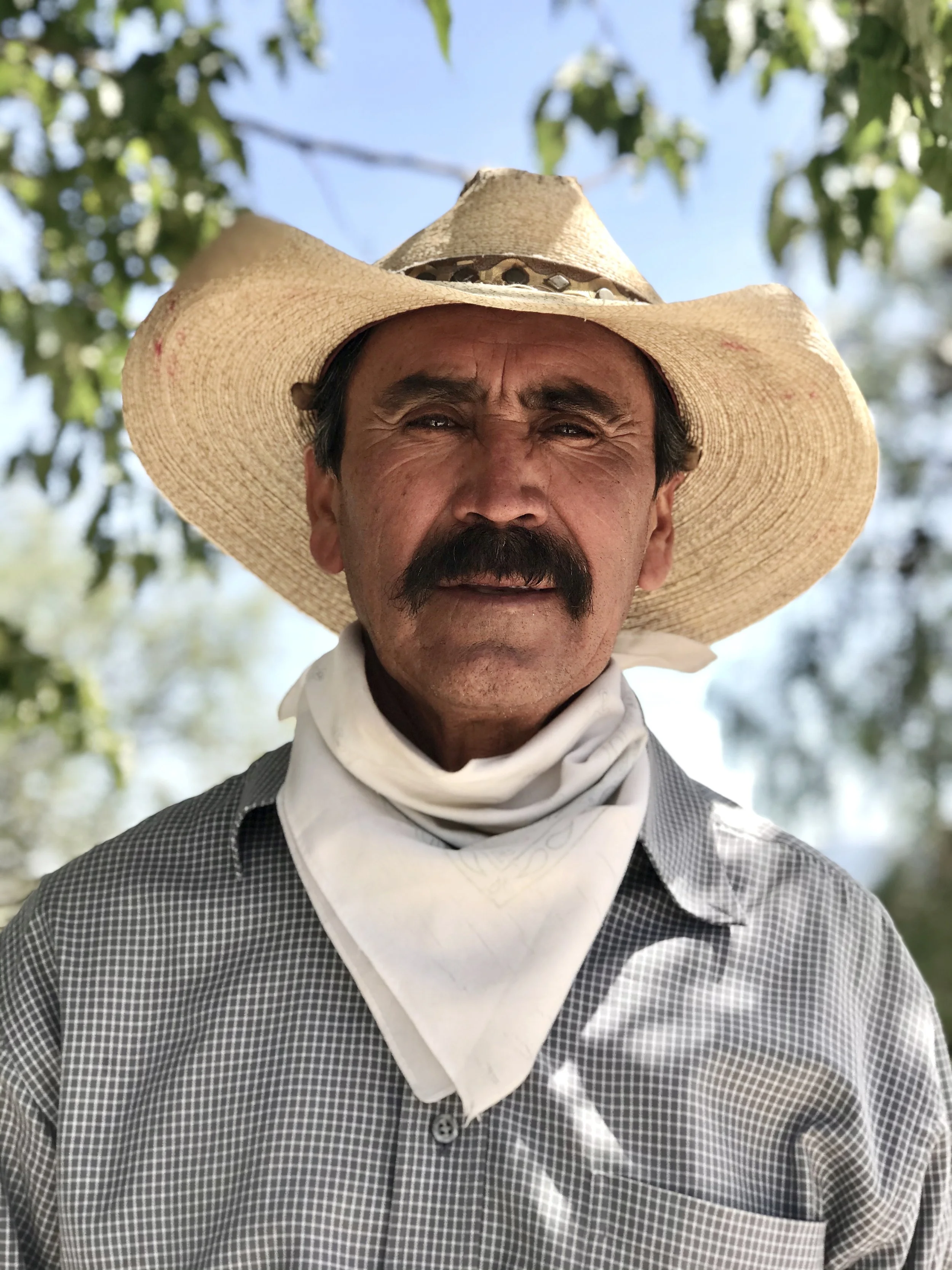  Don Felix. San Miguel de Allende, Mexico 