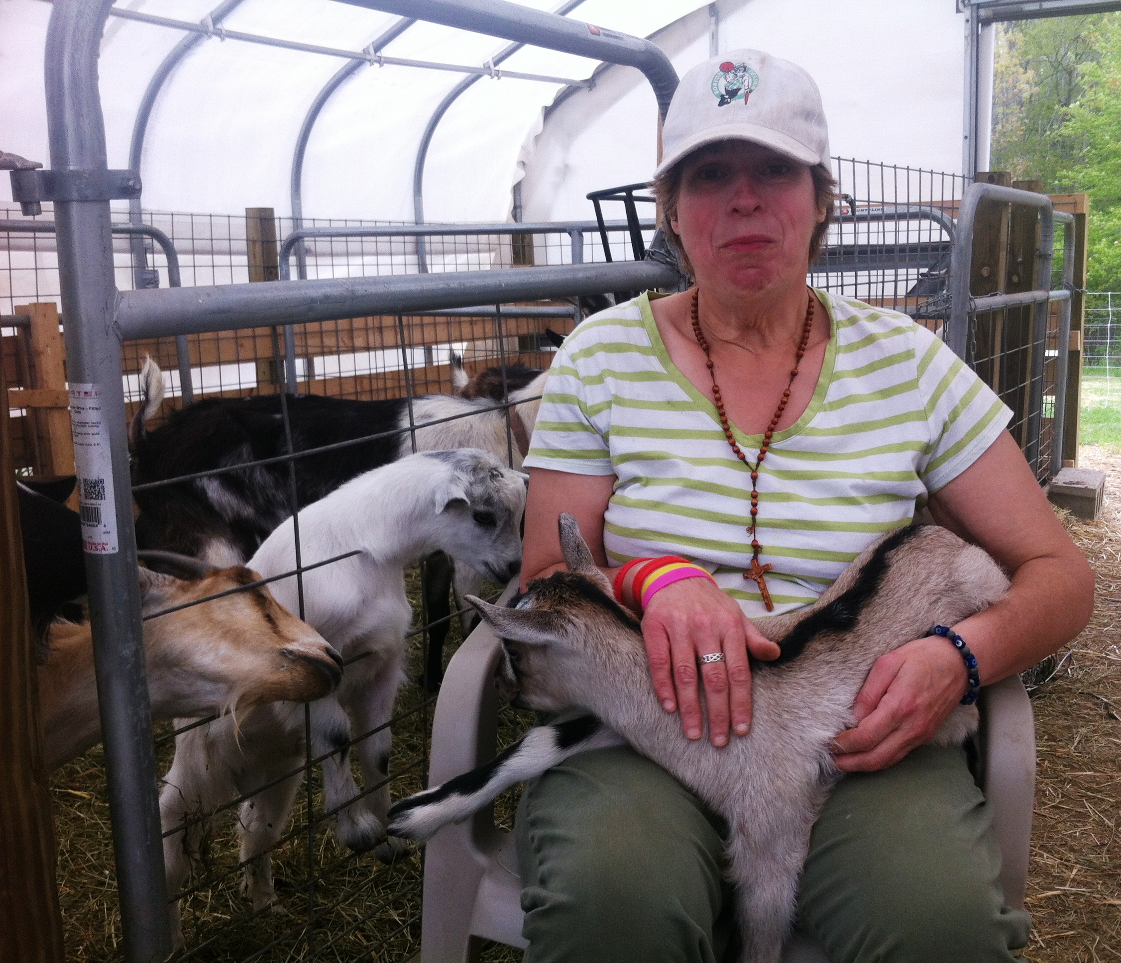 Mary loves the goats and the goats love Mary!.jpg