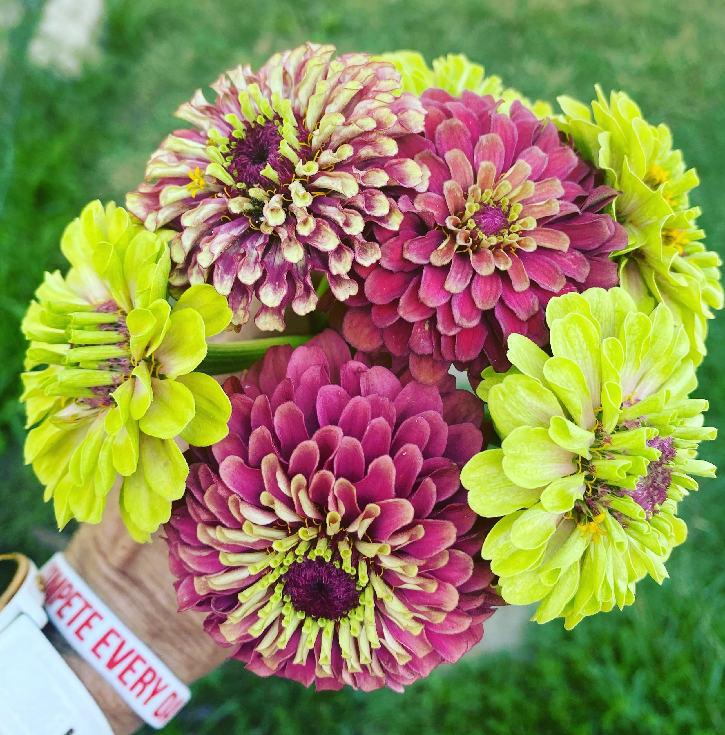 Poquonnock Plains Urban Farm Flowers for the Soul