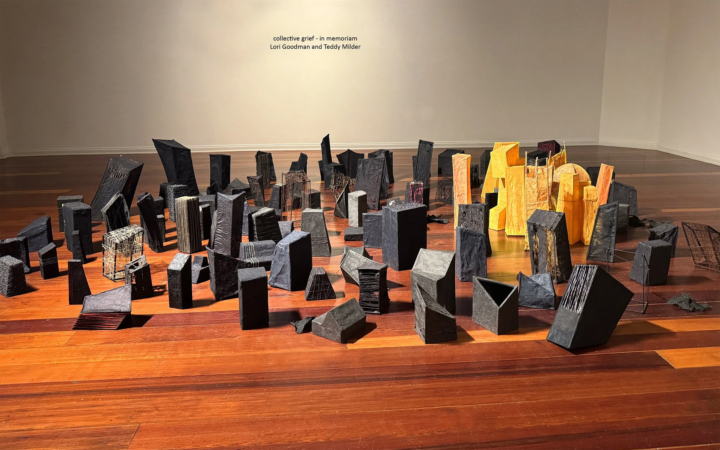 Installation at Morris Graves Museum, 2026