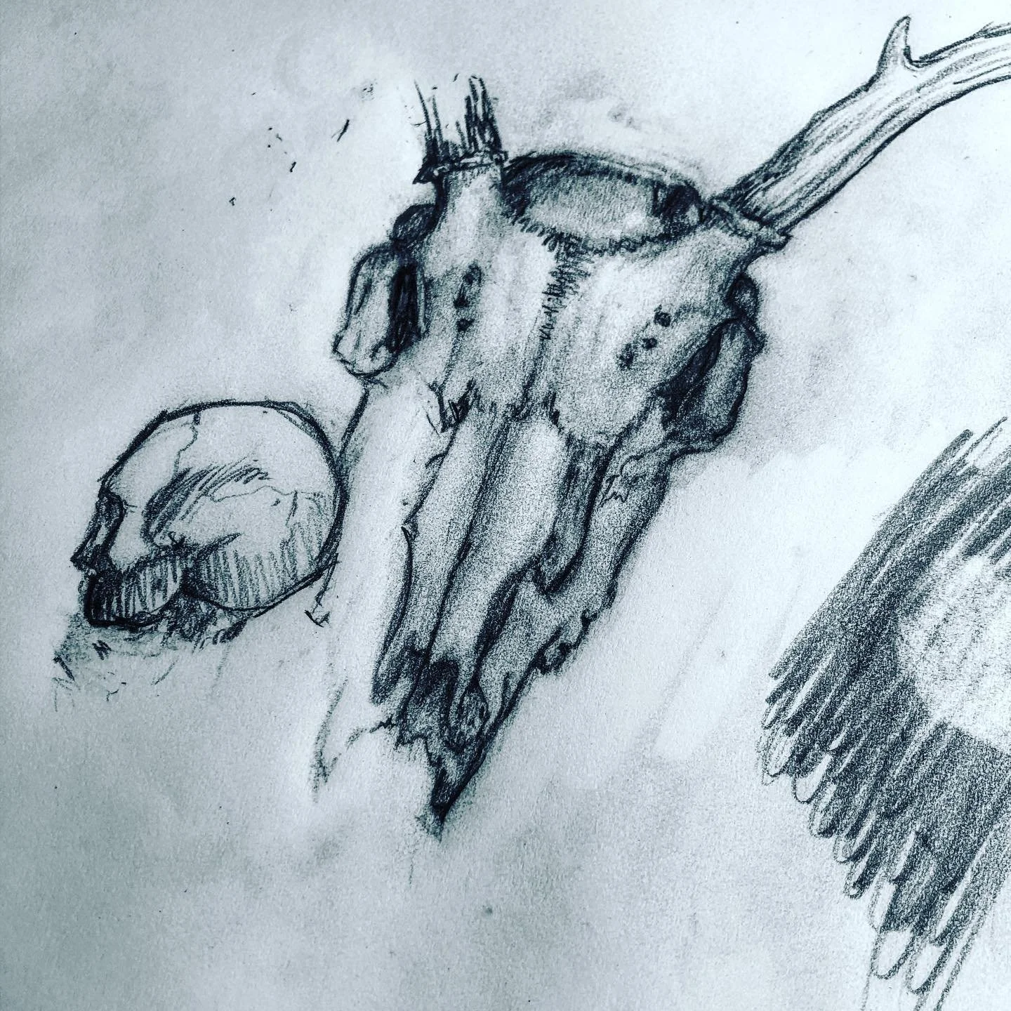 Picked up a pencil do some quick sketches for the first time a while. Felt nice, kinda want to do it more! ✏️ 💀 ✏️ 💀 ✏️ 💀 .
.
.
#pencildrawing #pencilsketch #pencil #pencilart #creative #creativity #skull #skullart #quicksketch #practicemakesperfe