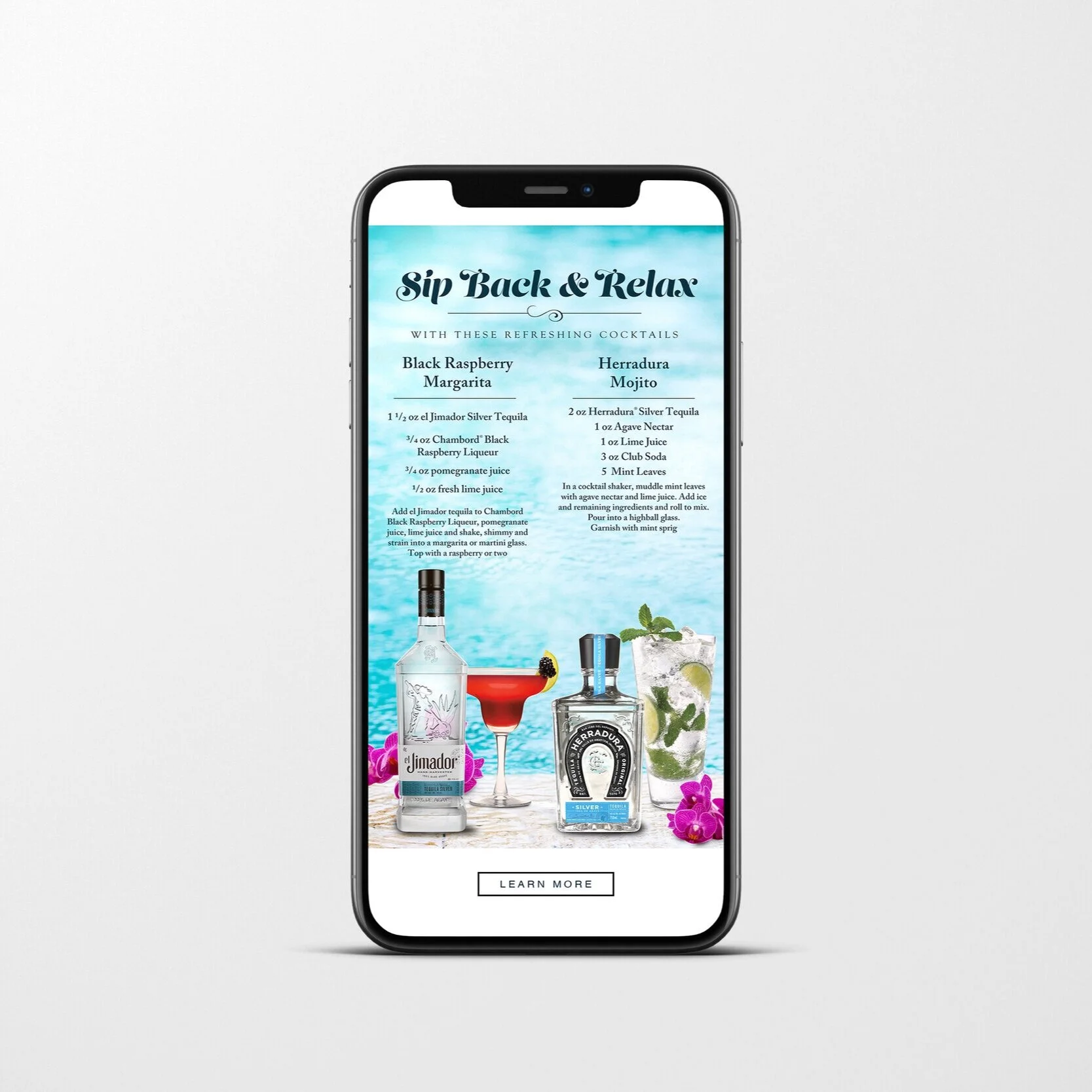Website Newsletter