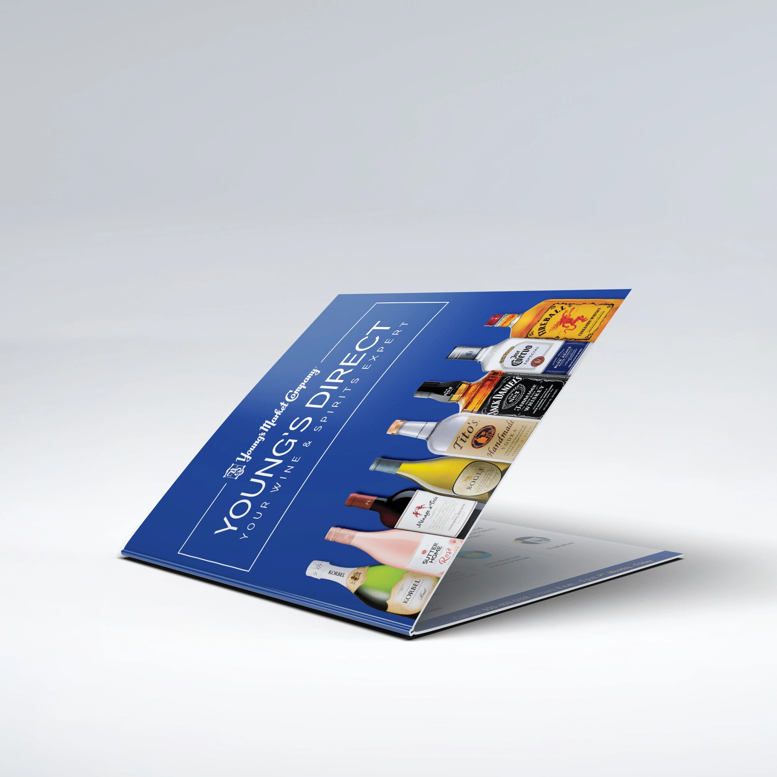 Direct Mailer_Mock Up B.jpg