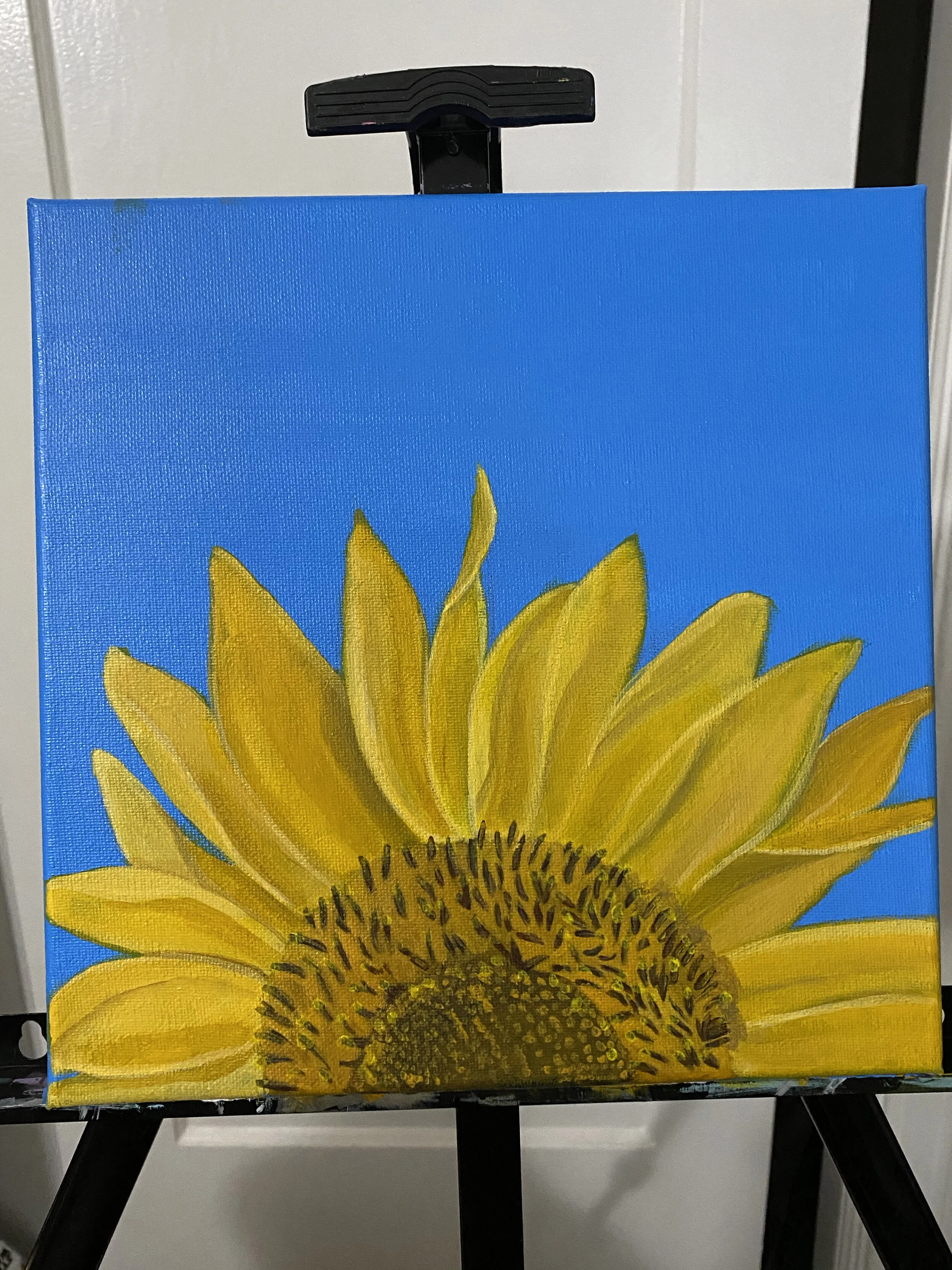 sunflower.jpg