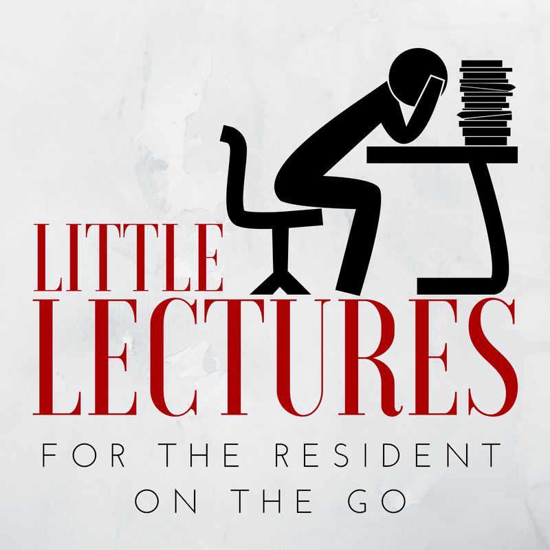 Little Lectures Logo (17).png