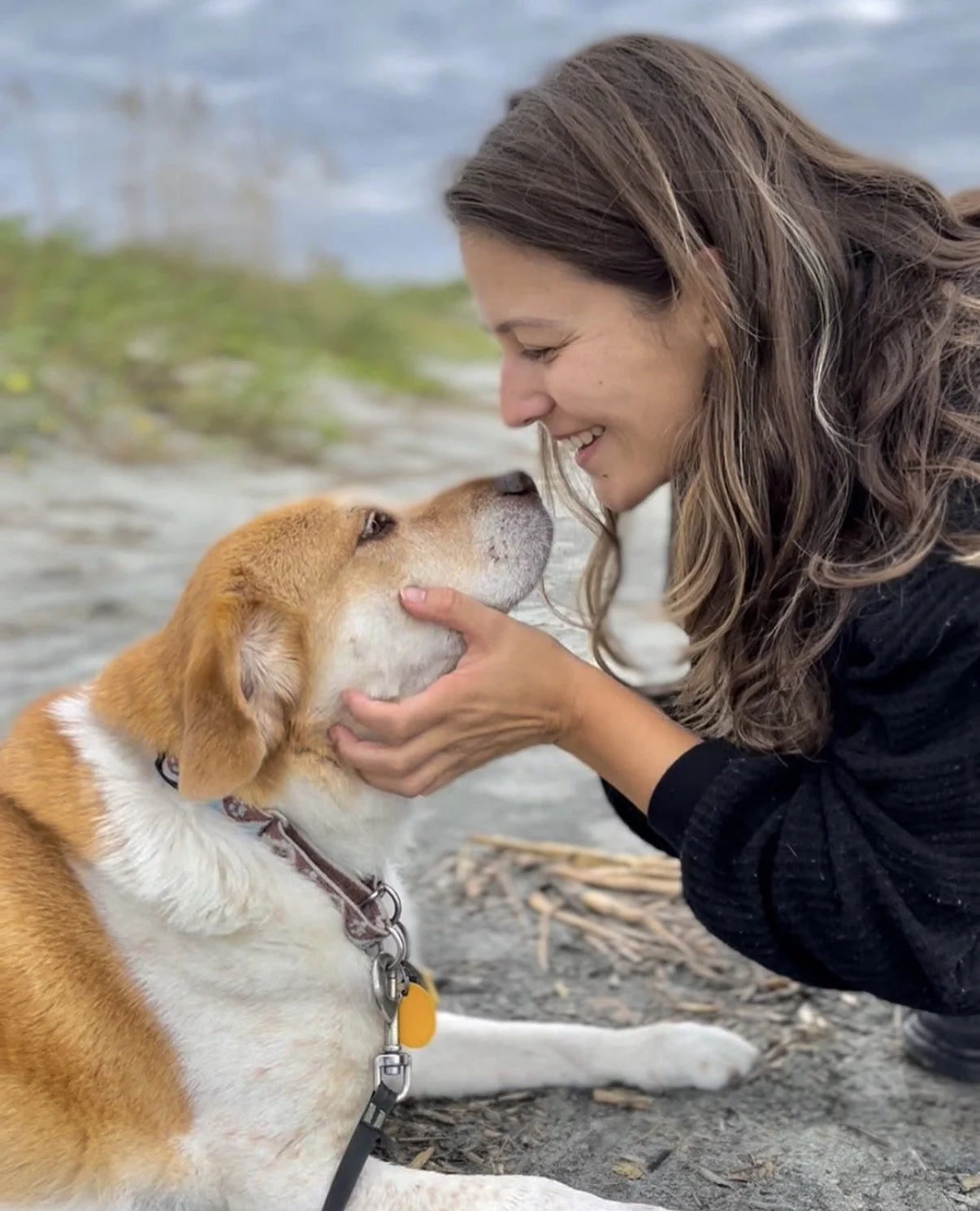 Woman petting a dog outdoors