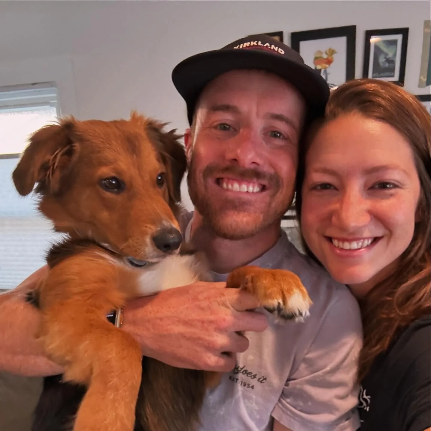 our girl Luna 🌙  we scooped her up from @istandwithmypack and foster mom extraordinaire @courtneyjdavis. she’s a sweetie! very happy to add her to our family.