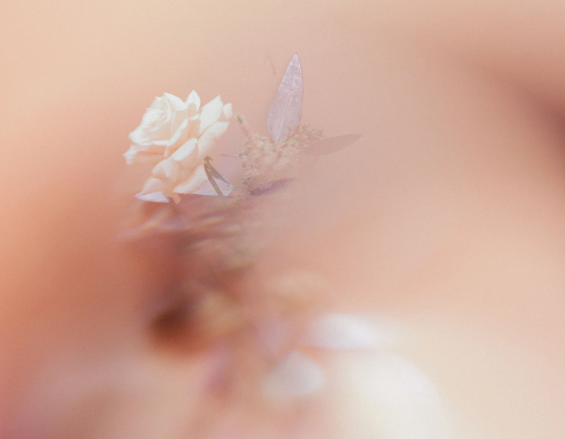 Botanical11.jpg