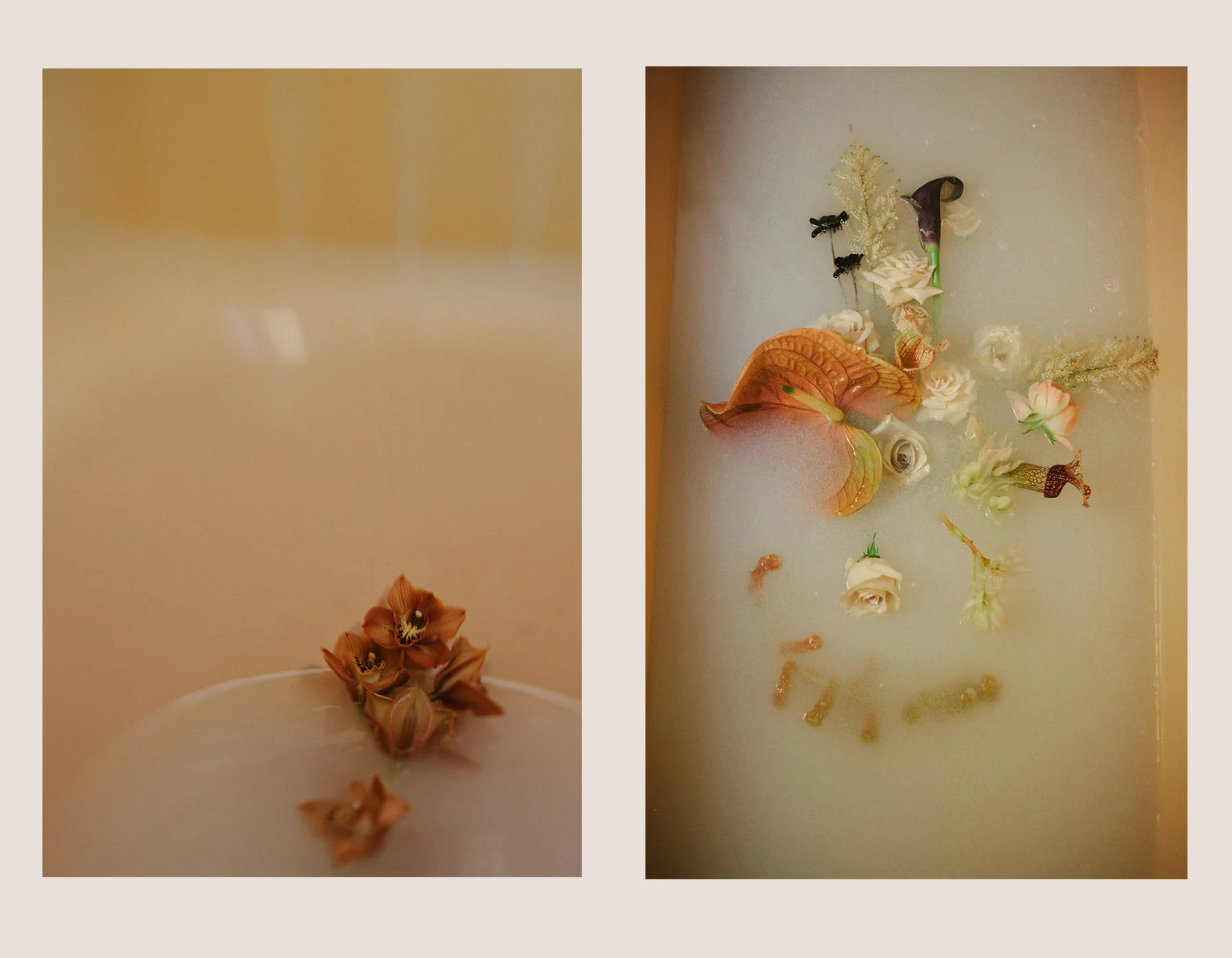 Botanical13.jpg