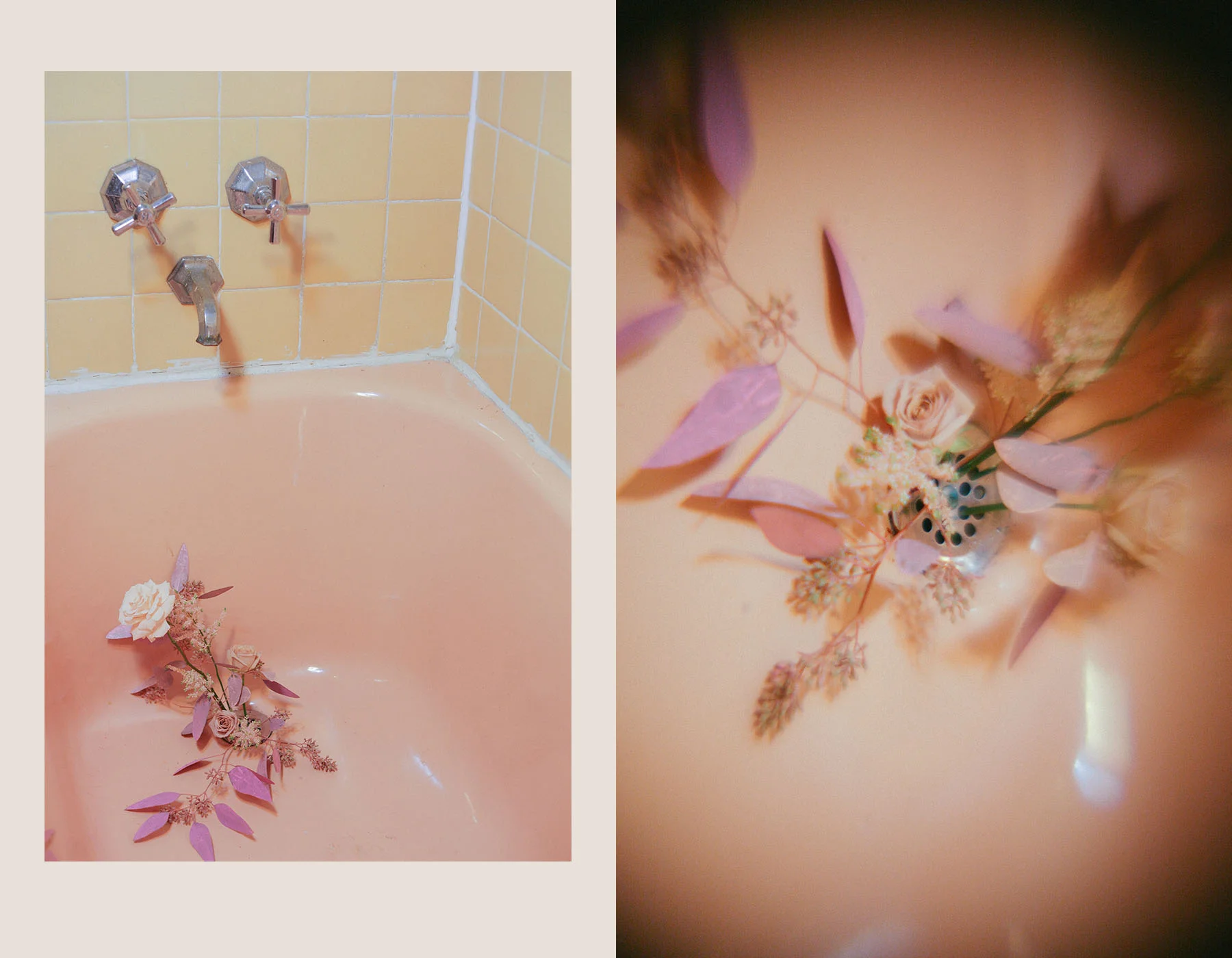 Botanical12.jpg