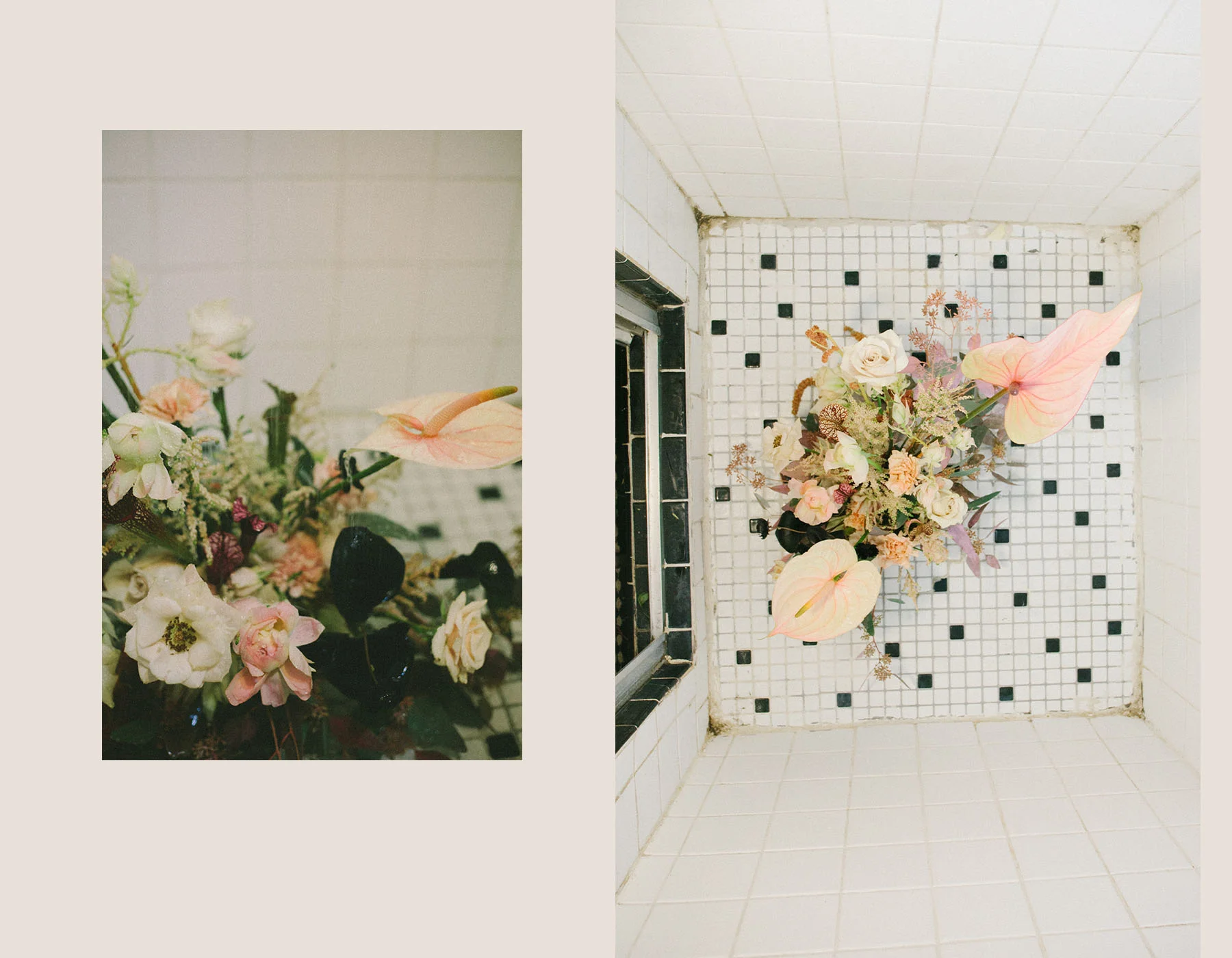 Botanical10.jpg