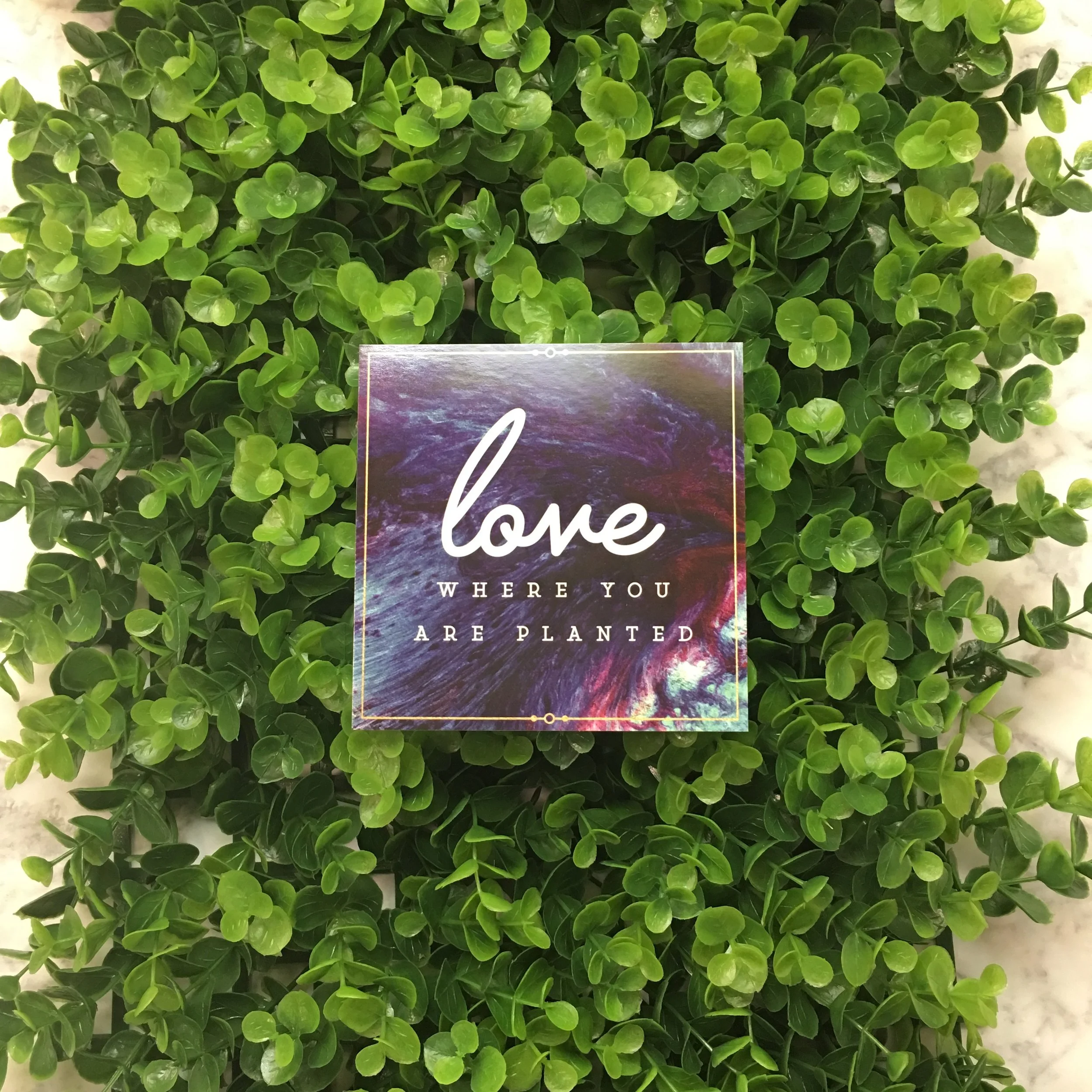 Love Where You Are Planted.jpeg