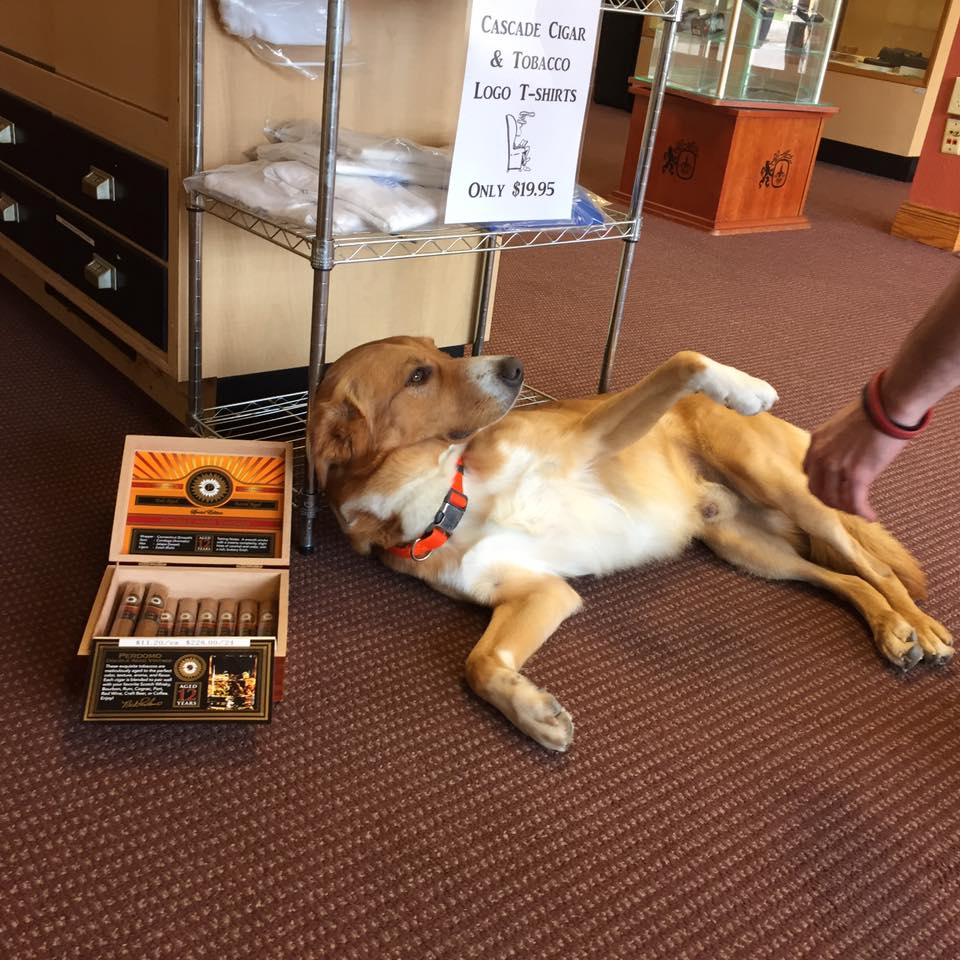 Jack poses with a box of Perdomo cigars.