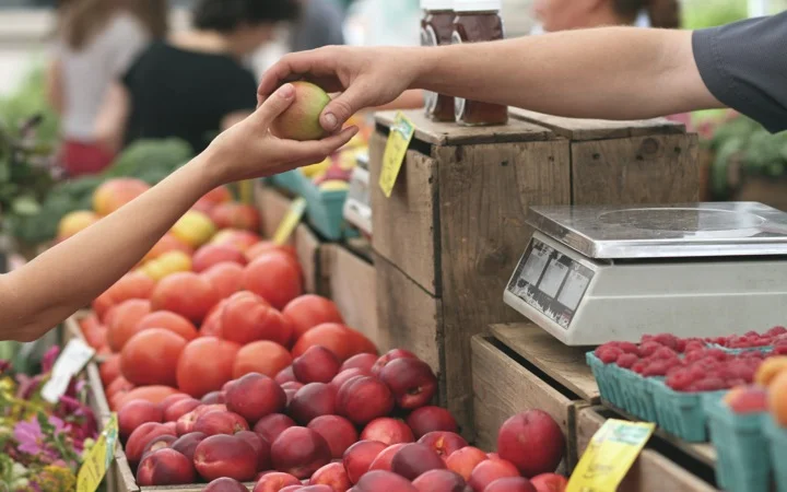 Nonprofits VS. 501(c)(3) : What They Are and How They're Different