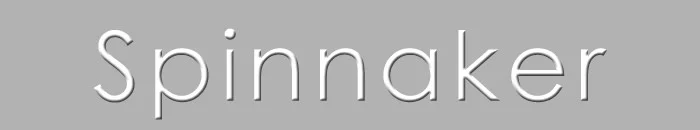 UK Sailmakers Main Images Sail Types Spinnaker.jpg