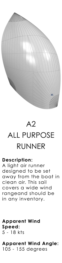 A2 - All Purpose Runner.png