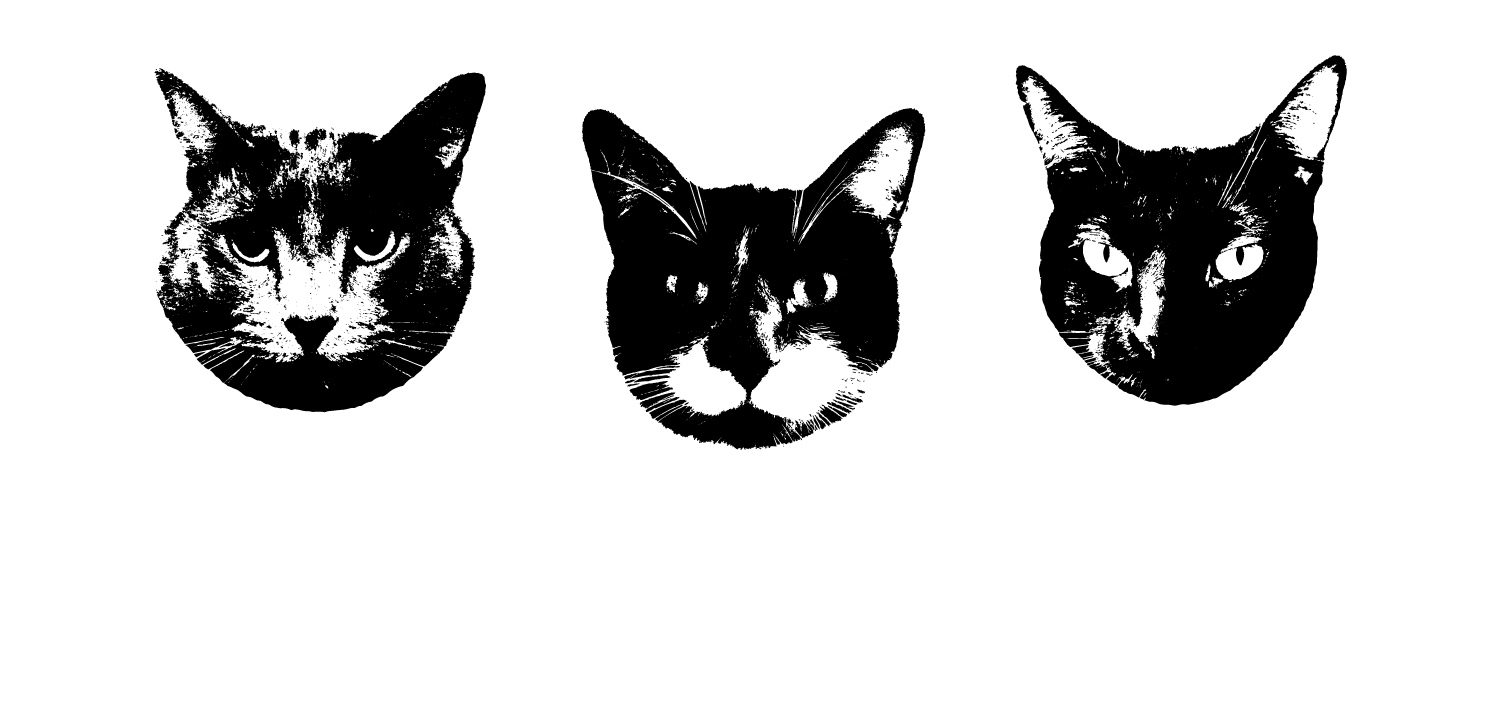 catsondrums landing image