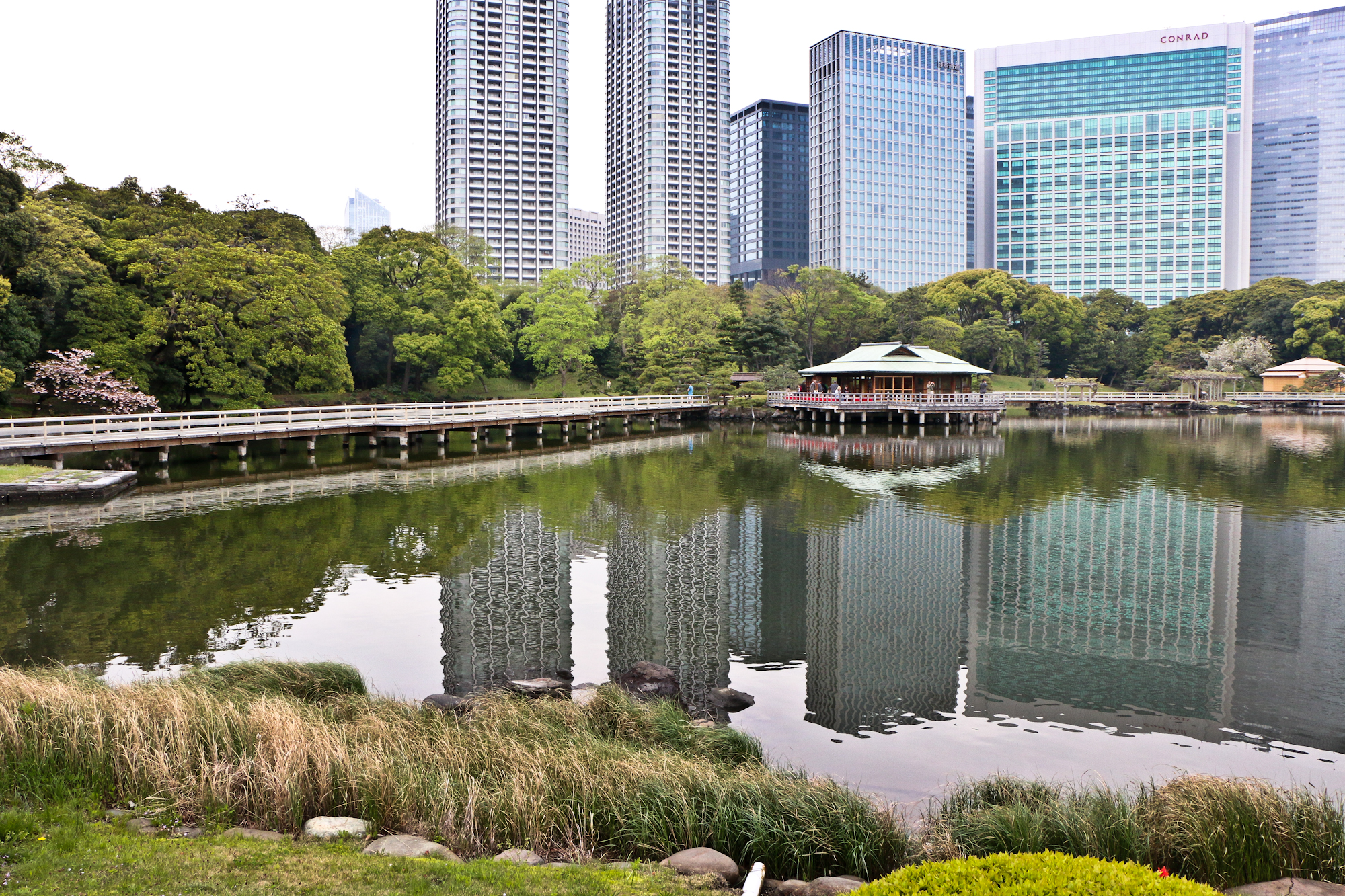 Tokyo Scene . Hama-rikyu Gardens, a former preserve of the Tokugawa Shoguns, backed by the high-rises of Shimbashi. 