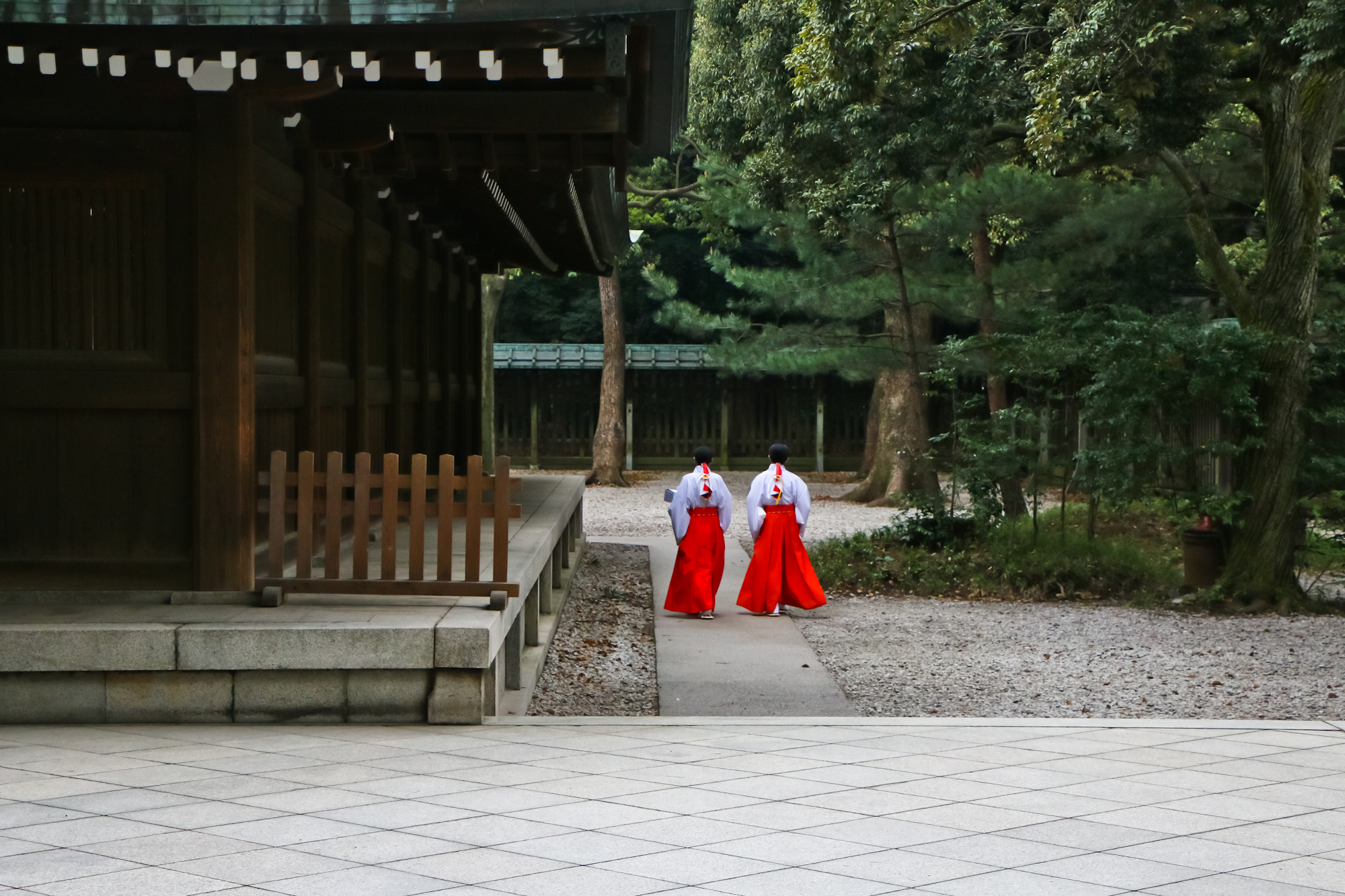 Shrine Maidens, Meiji Jingu, Tokyo