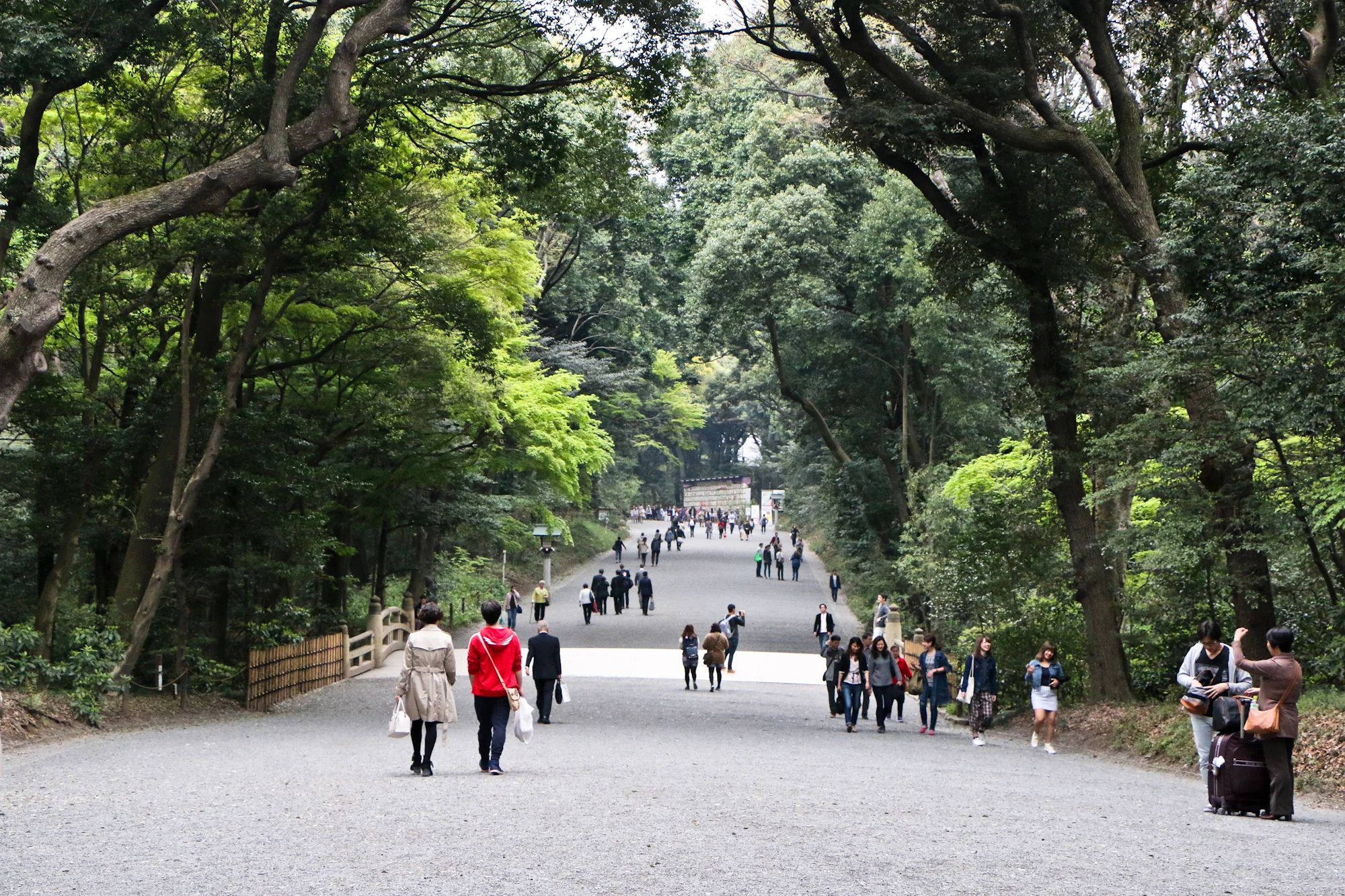 Meiji Jingu, Tokyo