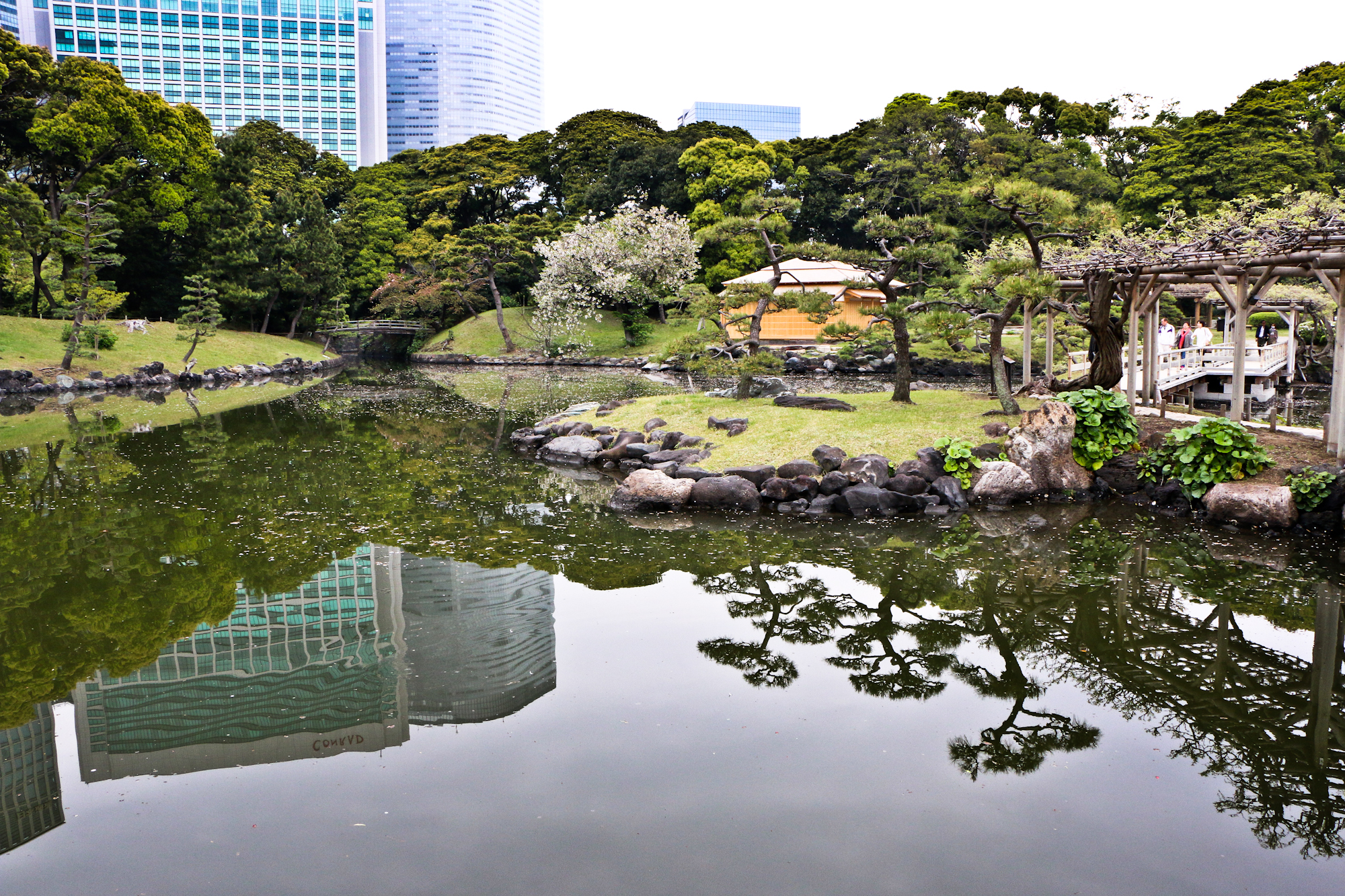 Hama-rikyu Gardens/Shimbashi, Tokyo