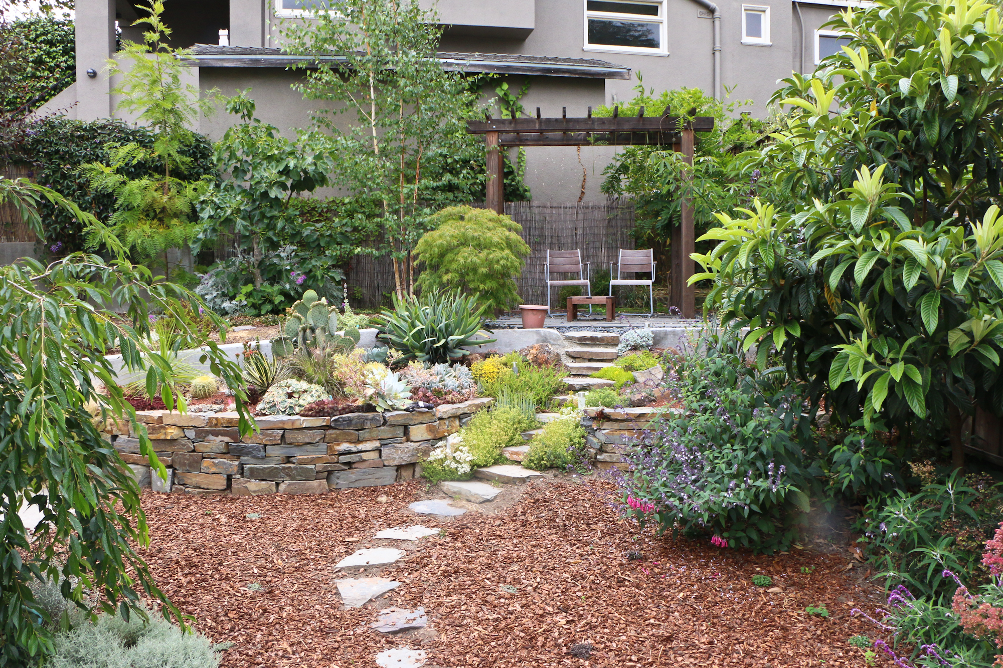Three Years In. Our garden today, getting greener every year. 