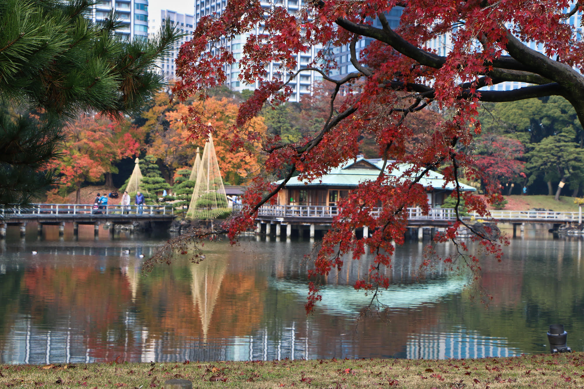 Hama-Rikyu Gardens. This used to be the private Tokyo park of the Tokugawa shoguns.