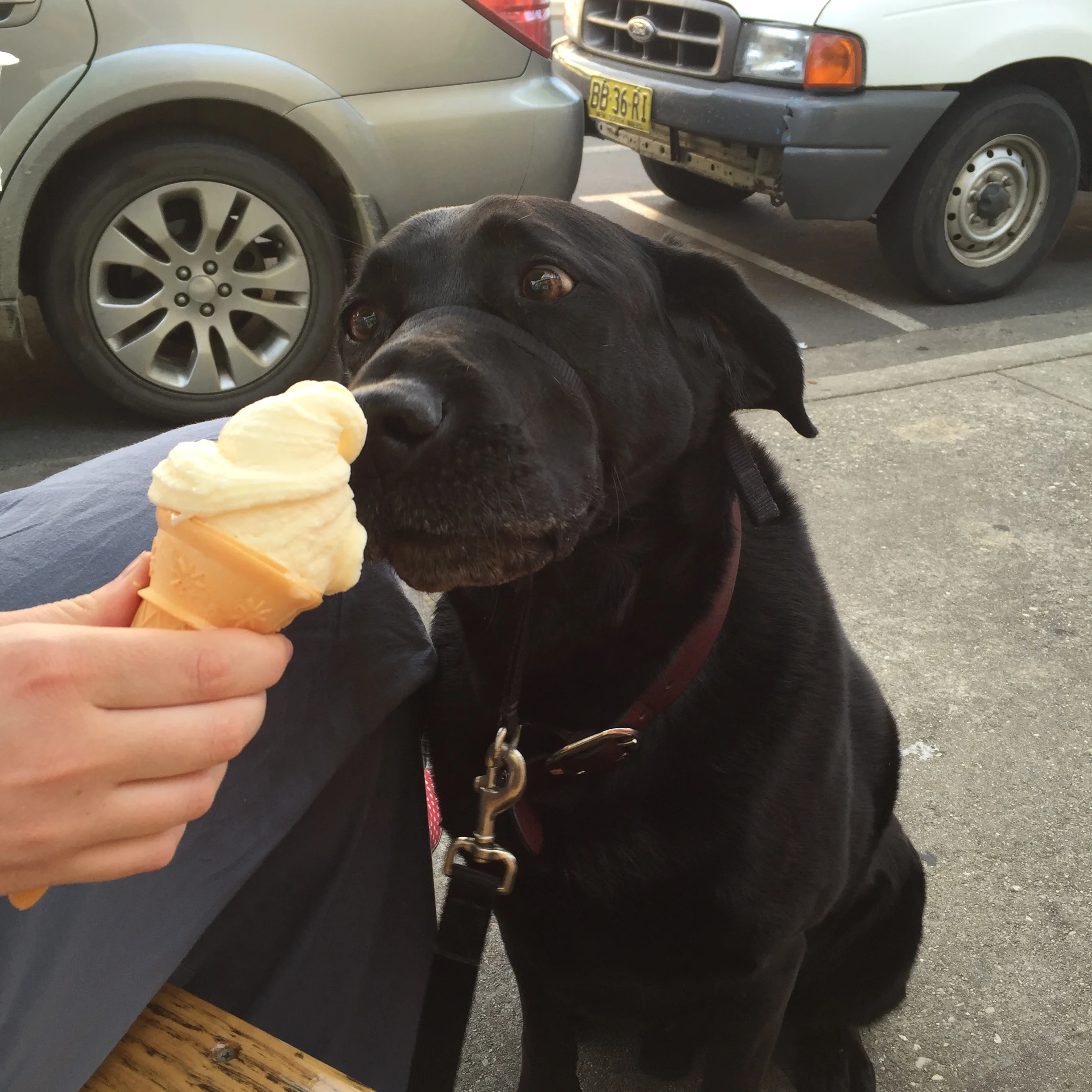 Gallery Monumental Ice Creamery