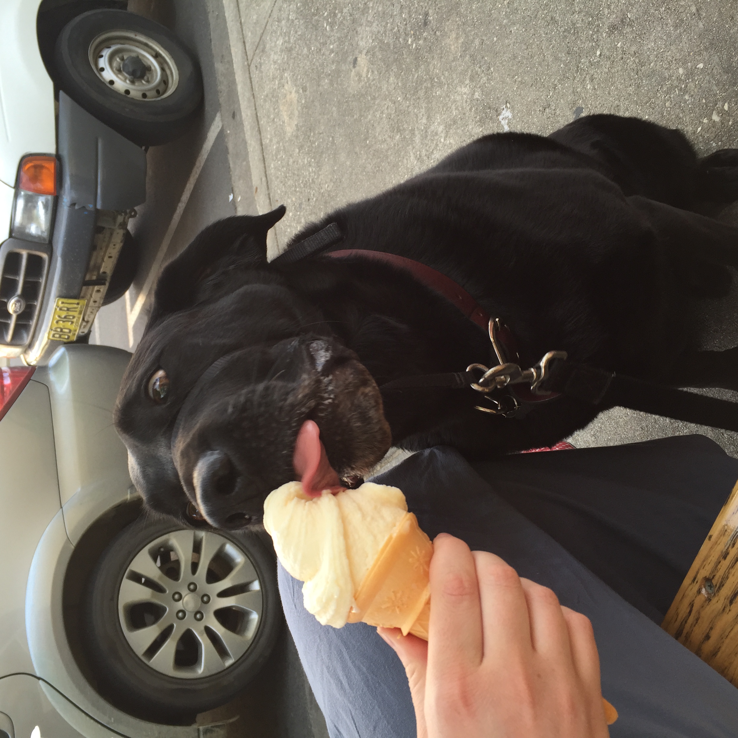 Lick