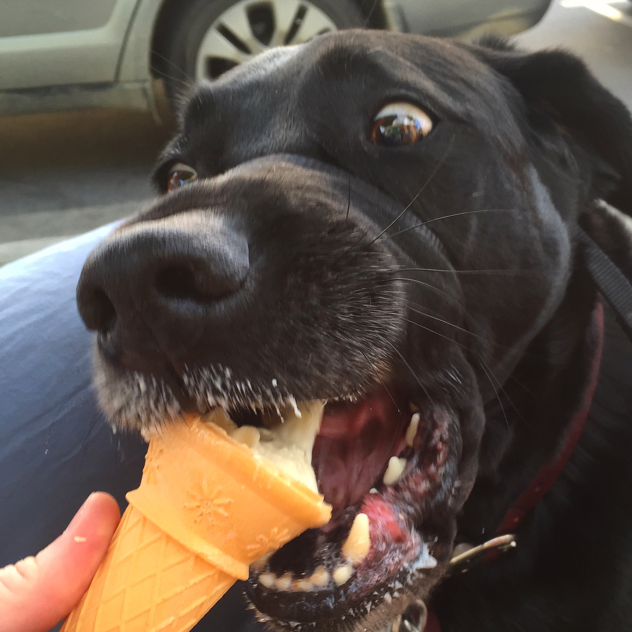 Crunch!